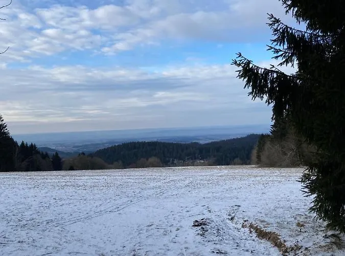 Bavarian Escape Mit Pool Lejlighed *